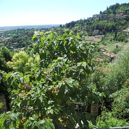 Bed & Breakfast A Casa Mia 3*